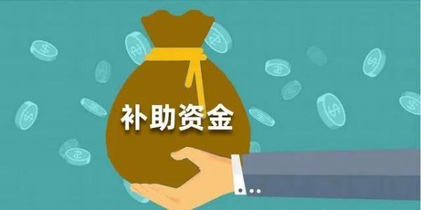 中央预算内投资补助申报辅导内容包括哪些？